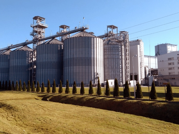 Качественные добавки — надежная основа мощного зернохранилища: решение для компании Олияр